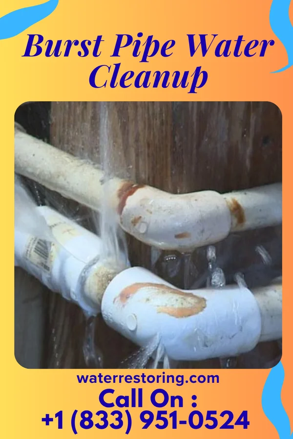 Burst Pipe Water Cleanup in Bremen, OH