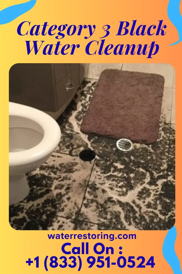 Category 3 Black Water Cleanup in Bremen, OH