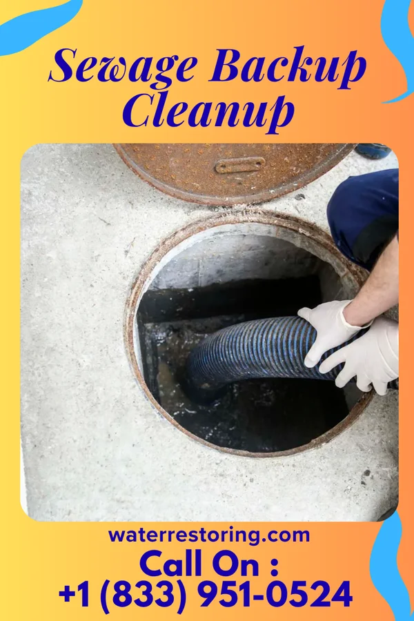 Sewage Backup Cleanup in Bremen, OH