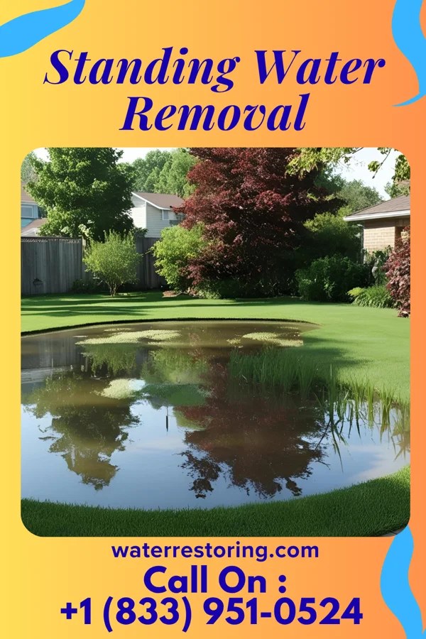 Standing Water Removal in Bremen, OH